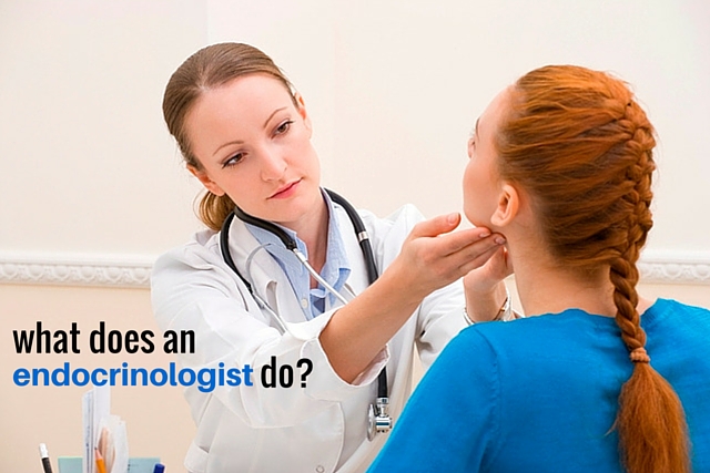 what is a endocrinologist