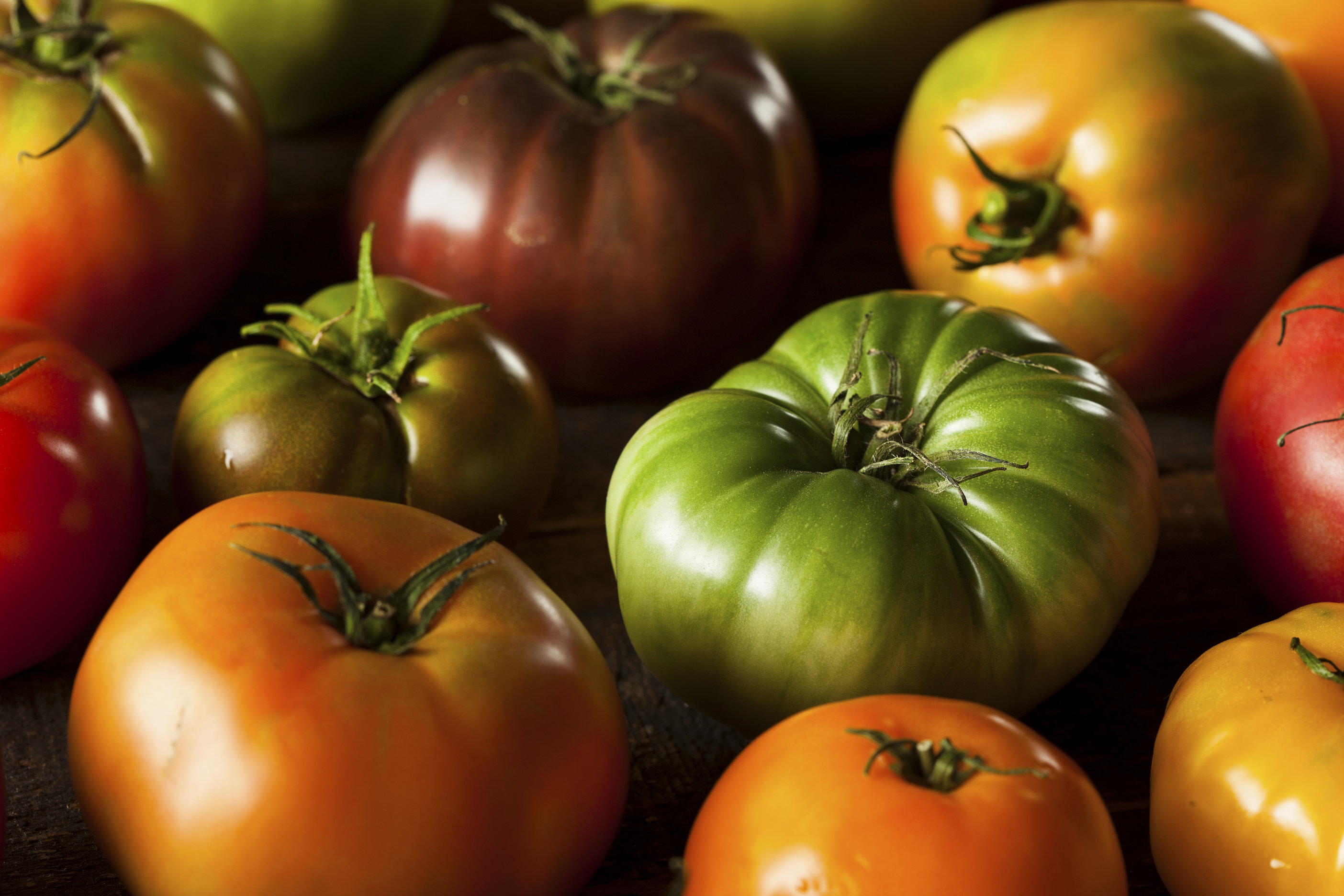 Too many tomatoes? Try this recipe Healthy Headlines