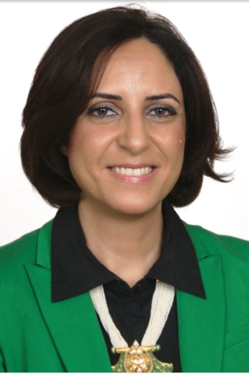 Nihal El Rouby, Pharm. D, Ph.D, BCPS