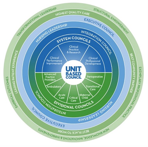 Unit Based Council - Shared Governance