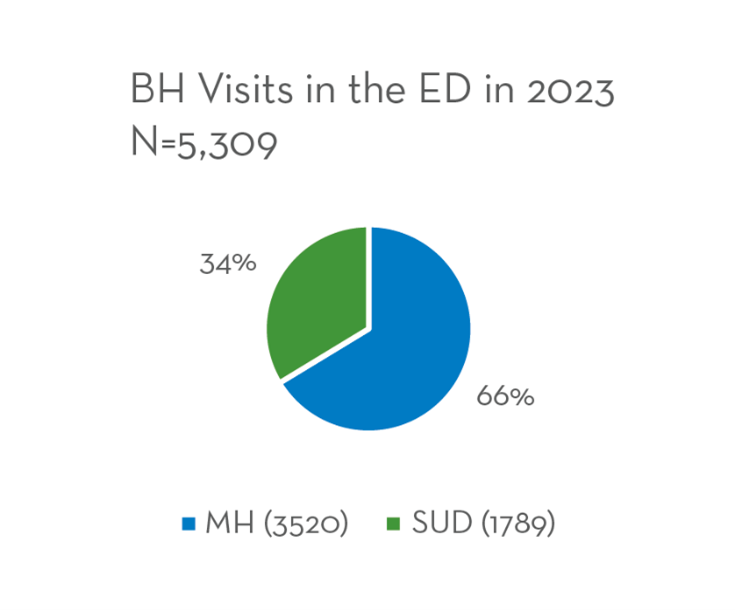 Behavioral Health Visits in the Emergency Room