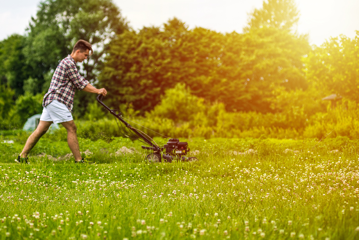 Young man mowing the lawn