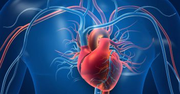 What does a Vascular Surgeon do? I St. Elizabeth Healthcare