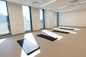 Restorative Yoga Series