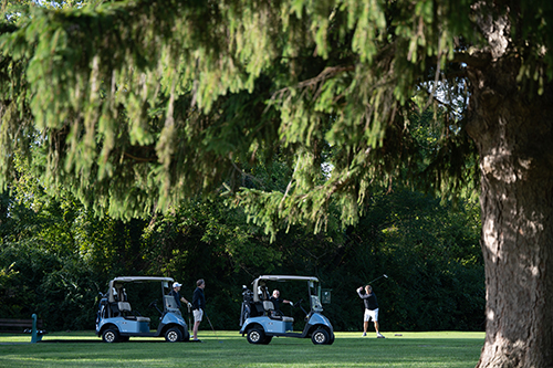 Golfers playing golf.