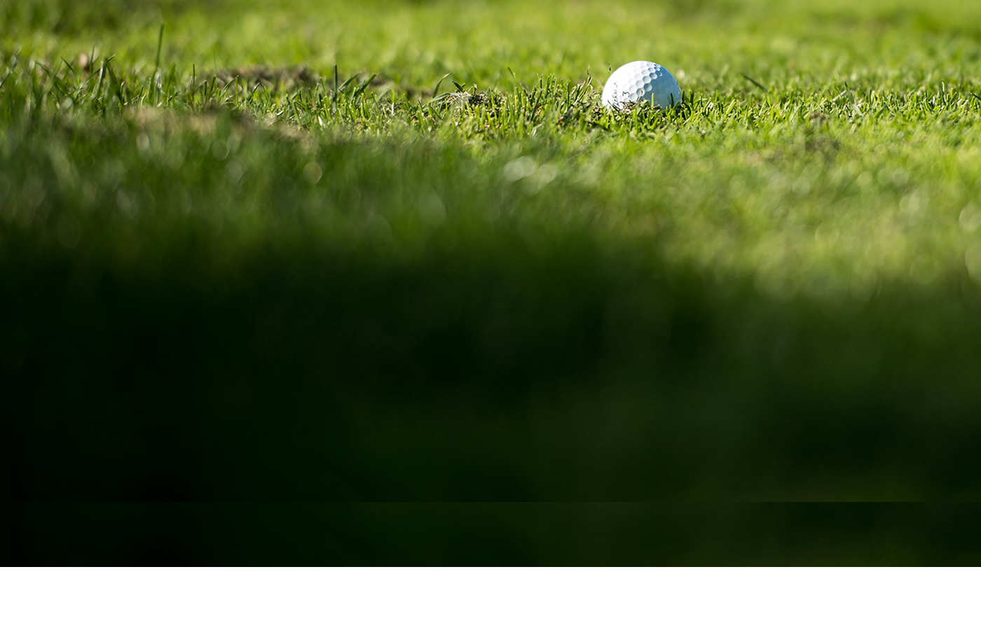 SMALL-CROPPED-Foundation-Stock-Golf-ParTee2