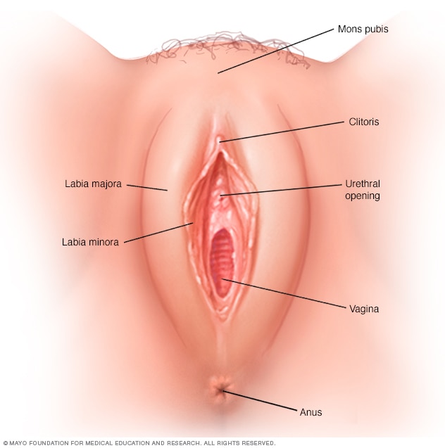 redness Girls soreness vulva