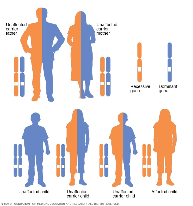 Autosomal recessive inheritance pattern