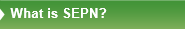 whatissepn-png