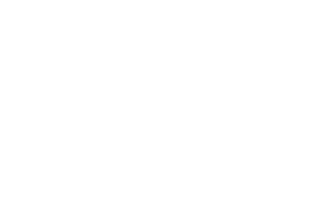 lung-conditions Lung Conditions