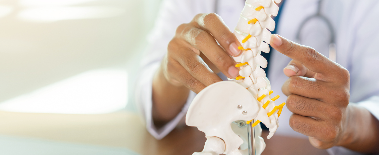 close up physical therapist hand pointing on human skeleton at low back to advise and consult to patient to treatment at office for healthcare concept Doctor shows patient a model of the spine.